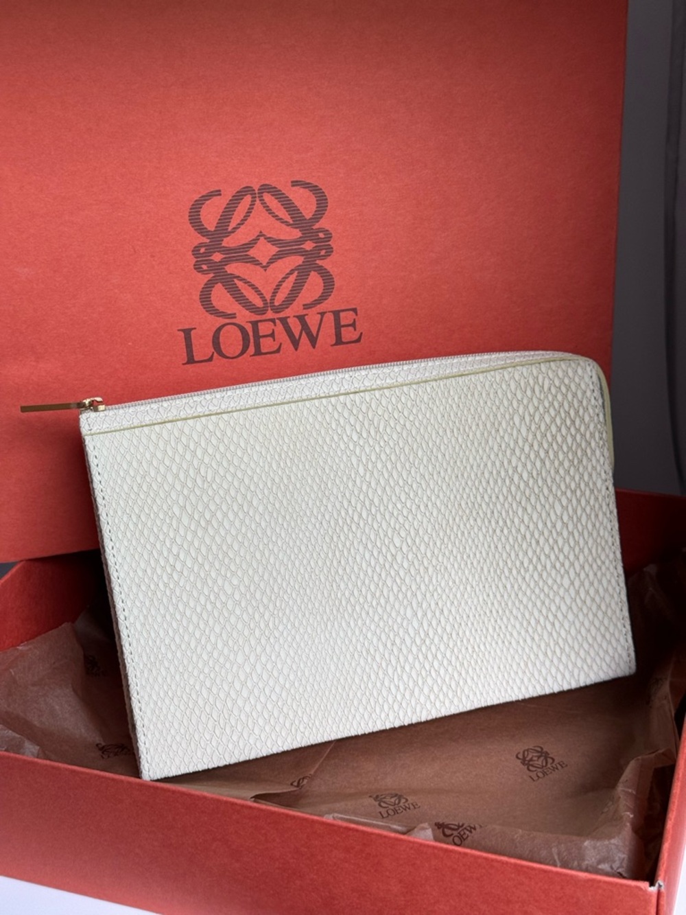 Loewe Cream Textured Zip Pouch with Gold Hardware MINT - Picture 6 of 10